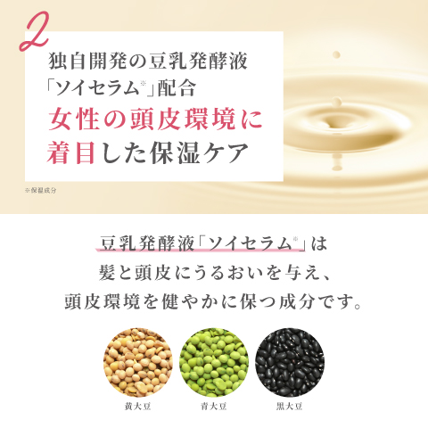 アンファースカルプD公式通販 | 予防医学のアンファーストア