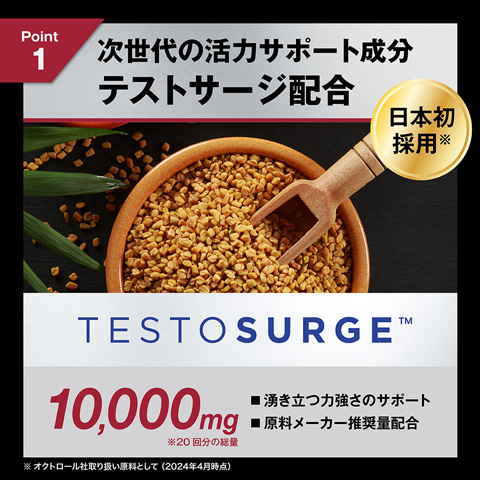 カンタ様 直筆サイン入り AP版HCG製 T2 T-800 エンドススカルハーフ カンタ様 直筆サイン入り AP版HCG製 T2 T-800 エンドススカル